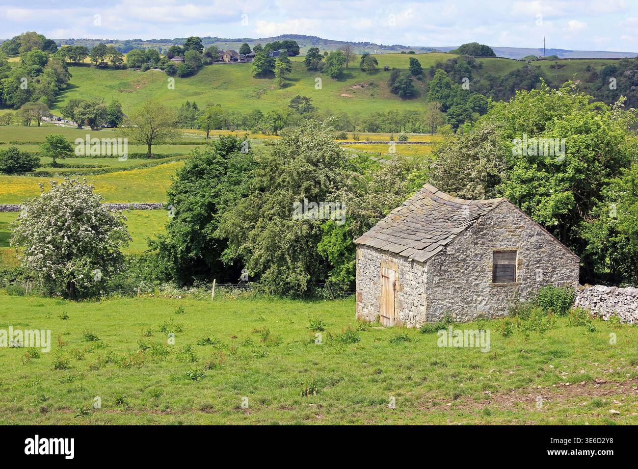 Campagna ondulata della White Peak area dei Derbyshire Dales vicino Hartington, Regno Unito Foto Stock