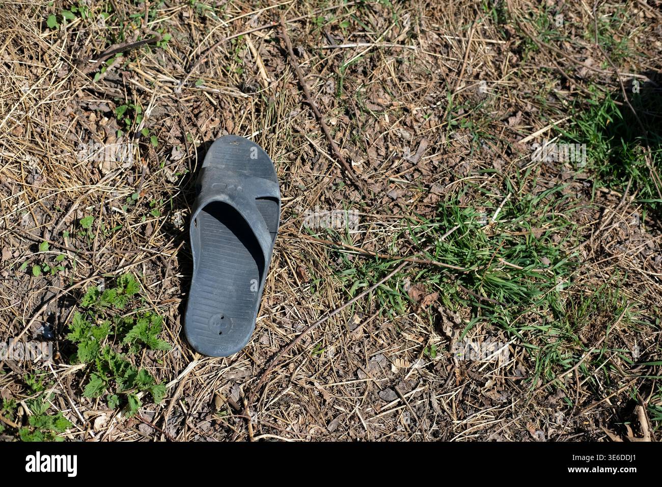 Un singolo sandalo in gomma nera giace su erba secca e terreno in un ambiente naturale all'aperto Foto Stock