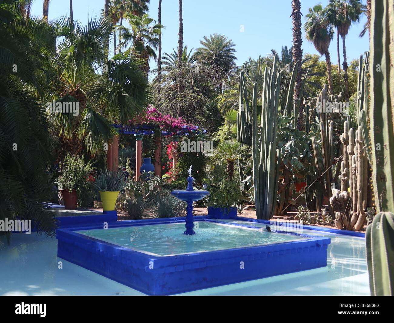 I giardini di Marrakesh: Un ricco blu cobalto viene utilizzato in molti modi attraverso il giardino Yves Saint Laurent, le Jardin Majorelle: Vasi, plinti e fontane. Foto Stock