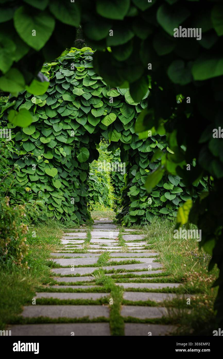 Giardino paesaggistico con arcata alberata Foto Stock