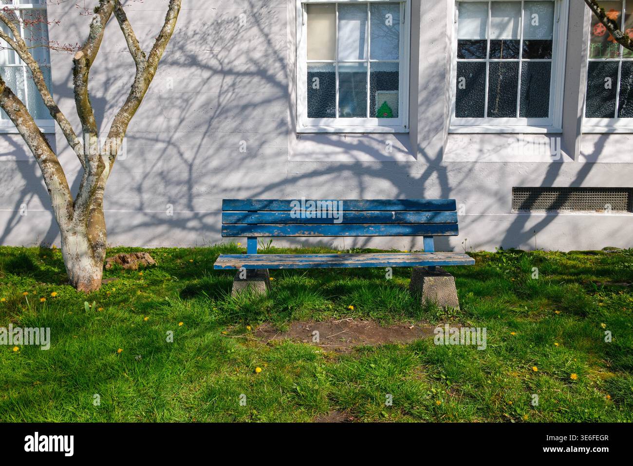 Una panchina blu del parco presso la Point Grey Secondary School di Kerrisdale, Vancouver, British Columbia. Foto Stock