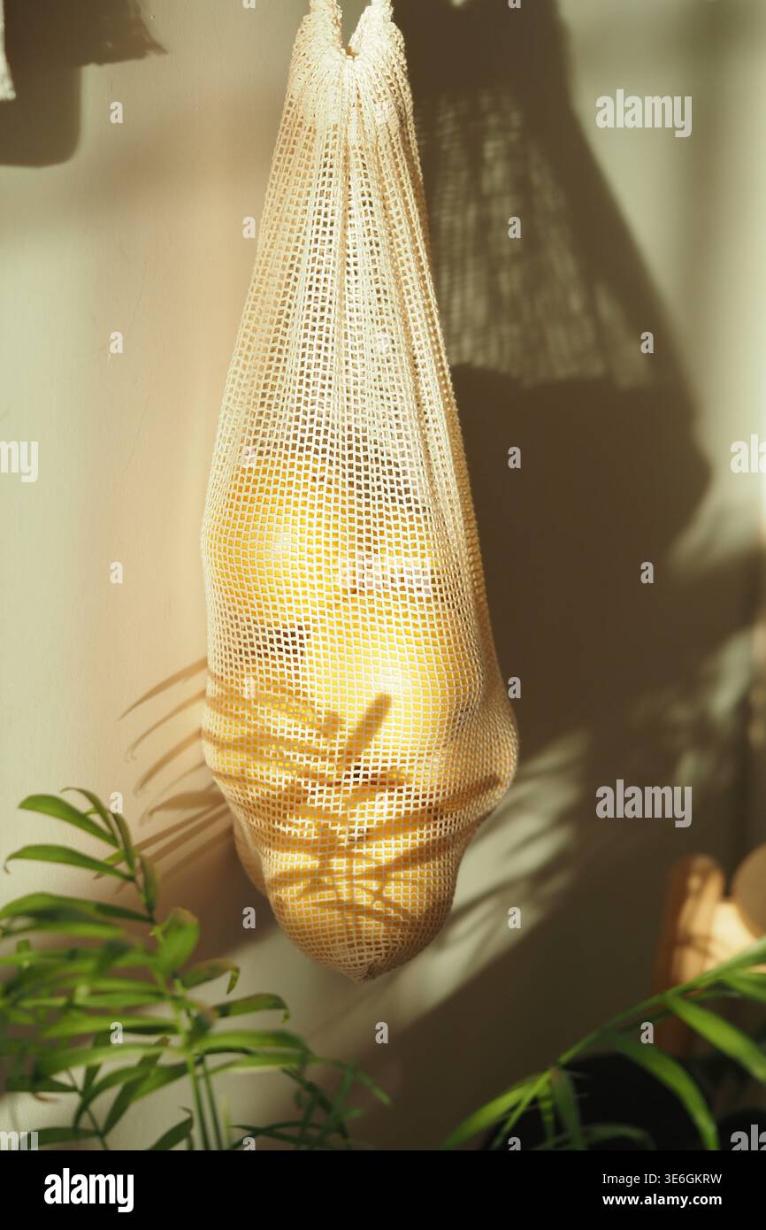 Limoni in una borsa a rete appesa alla luce naturale Foto Stock