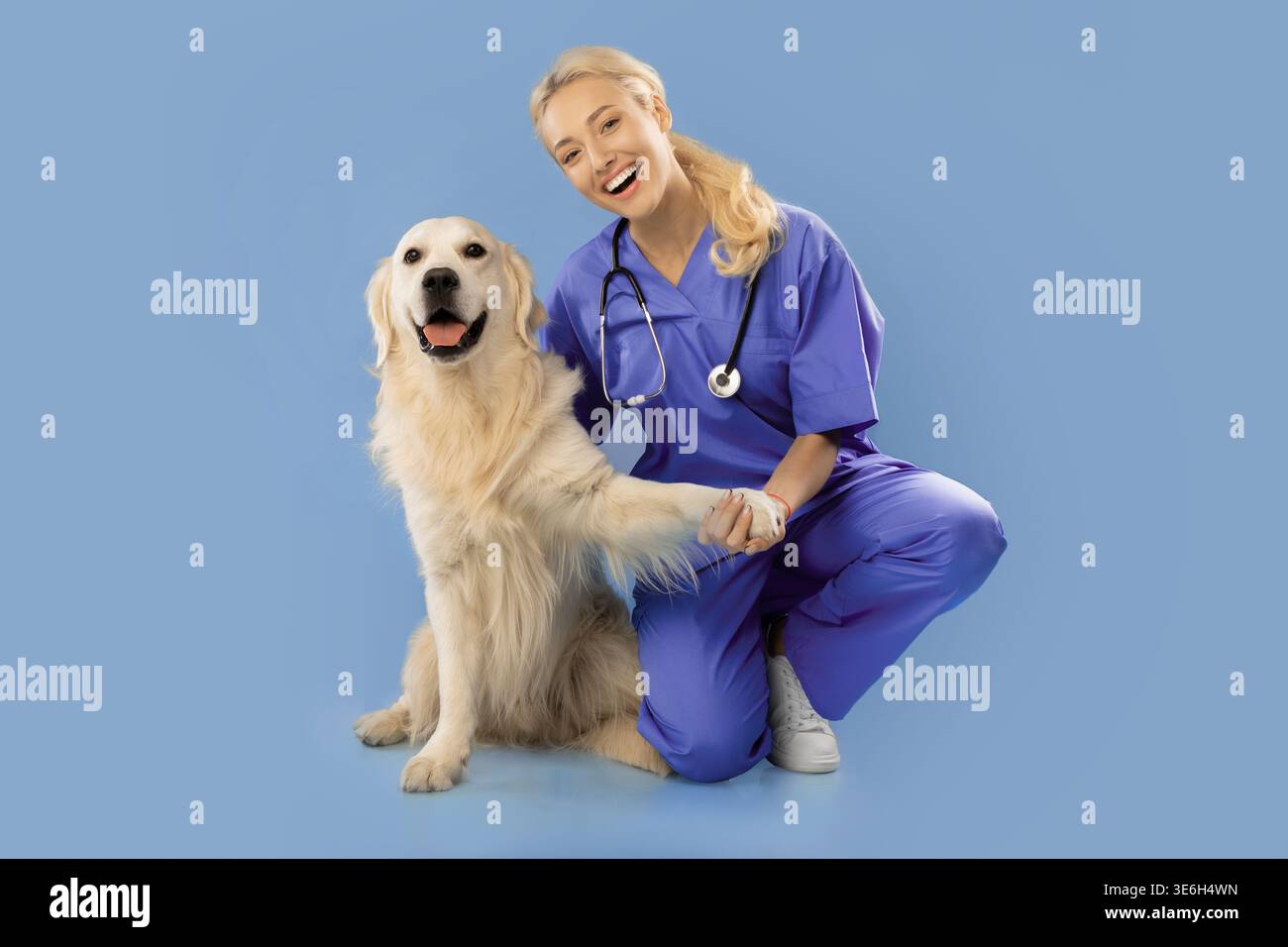 Veterinario e Golden Retriever Dog condividono un momento nella clinica durante le ore diurne Foto Stock