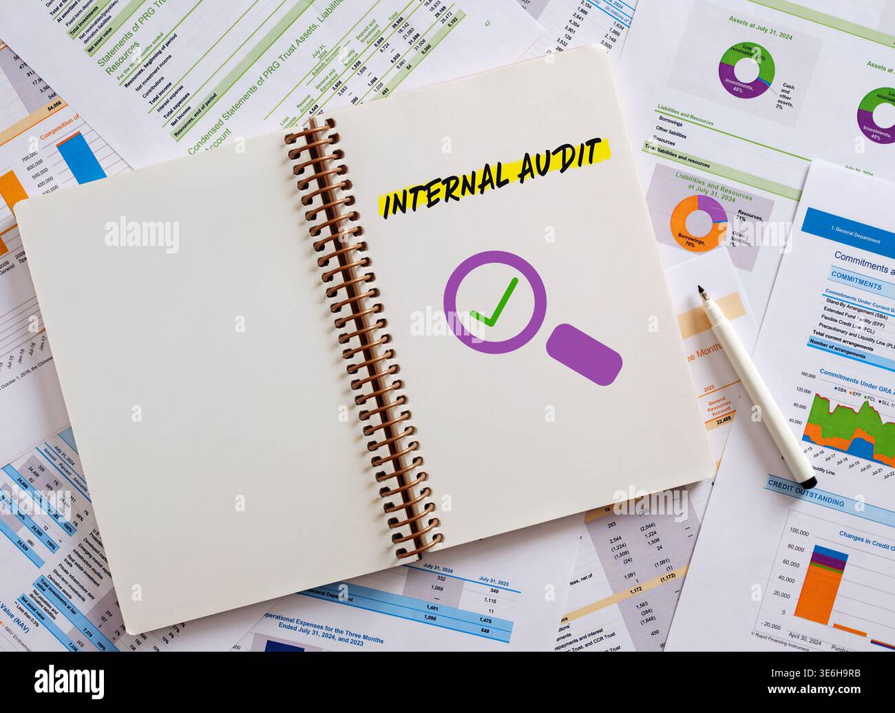 Notebook con un segno di spunta e un'icona a forma di lente d'ingrandimento, apposta sui documenti finanziari, a indicare che il processo di verifica è stato completato correttamente Foto Stock