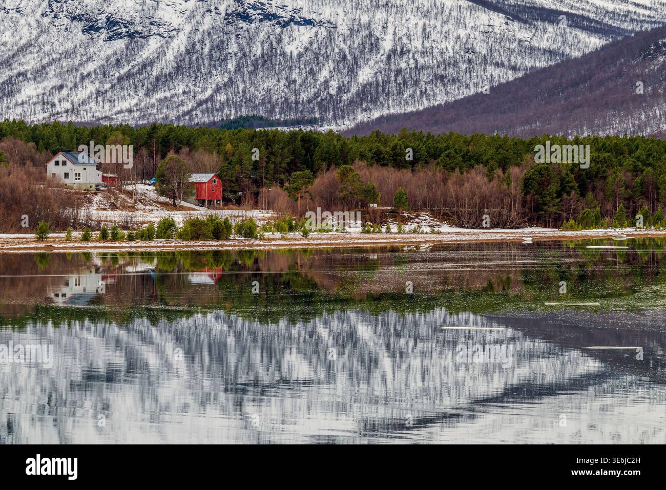 Paesaggio invernale panoramico, Lyngenfjord, Troms, Norvegia Foto Stock