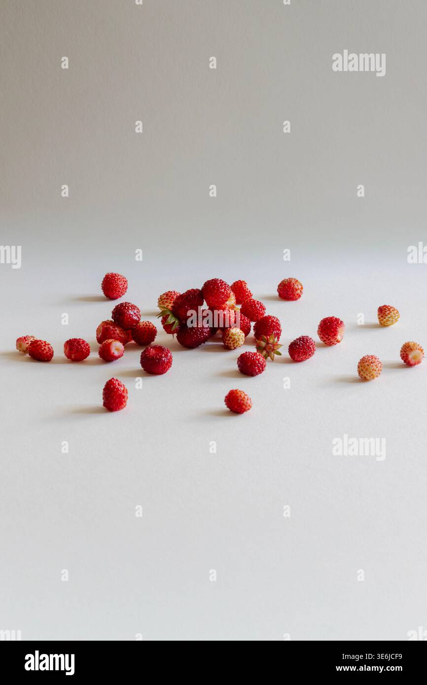 Gruppo di bacche rosse fresche sparse su sfondo bianco con ombre naturali morbide. Cibo minimalista pulito con molto spazio per le copie. Foto Stock