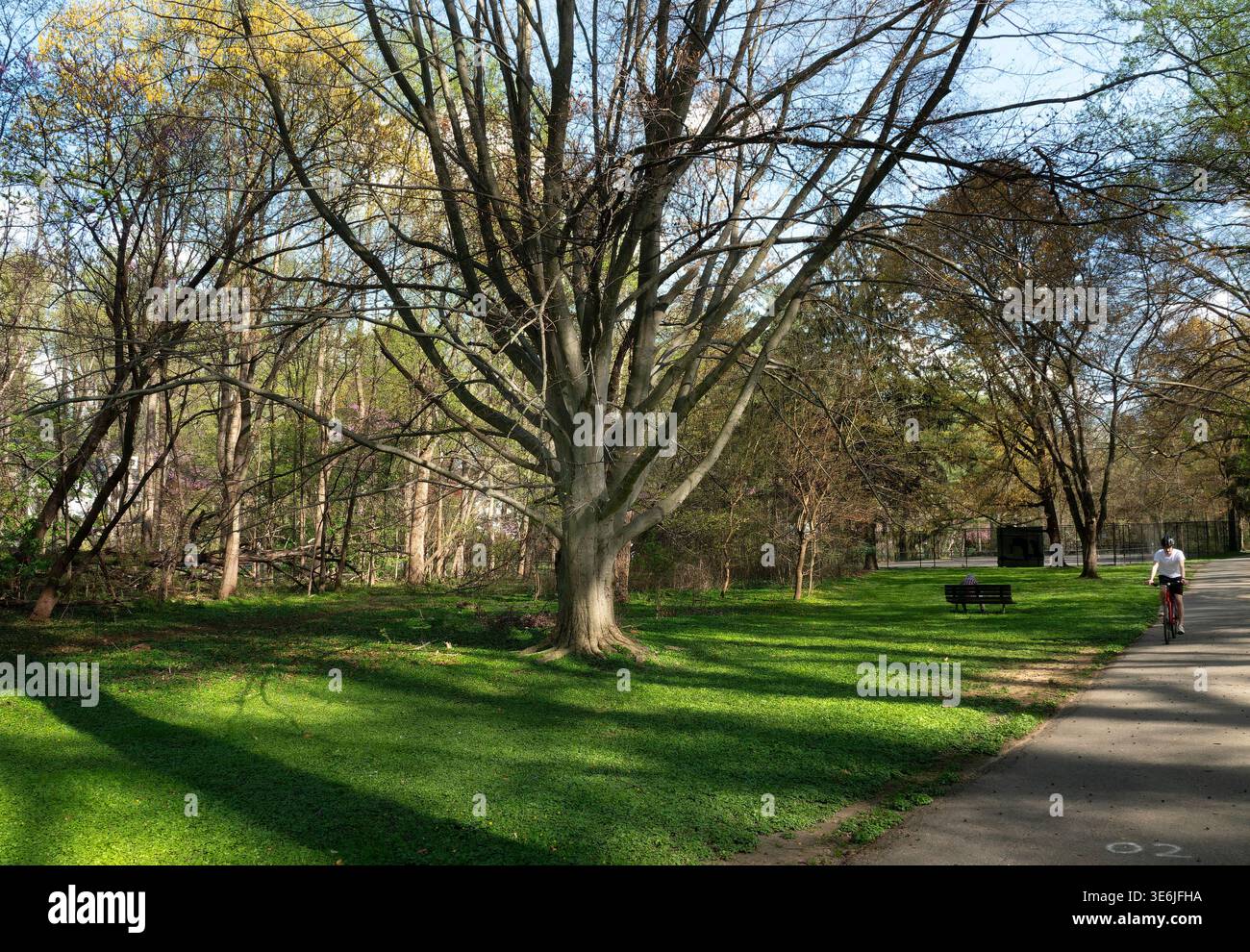 Ambiente tranquillo in un parco pubblico Foto Stock