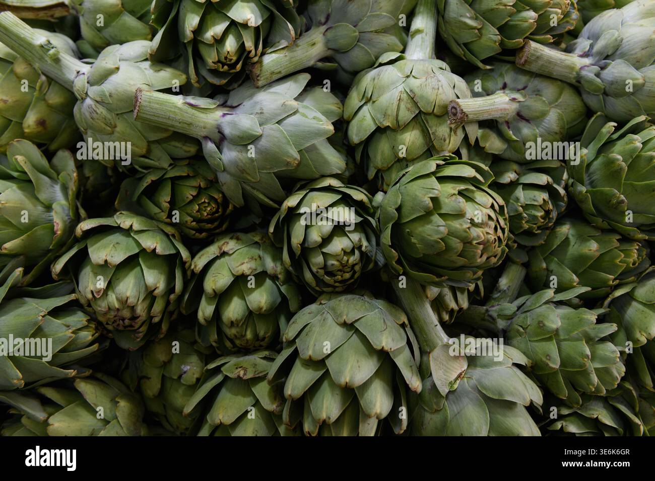Grande mucchio di carciofi verdi, maturi e appena raccolti per la vendita in un mercato di produzione. Foto Stock