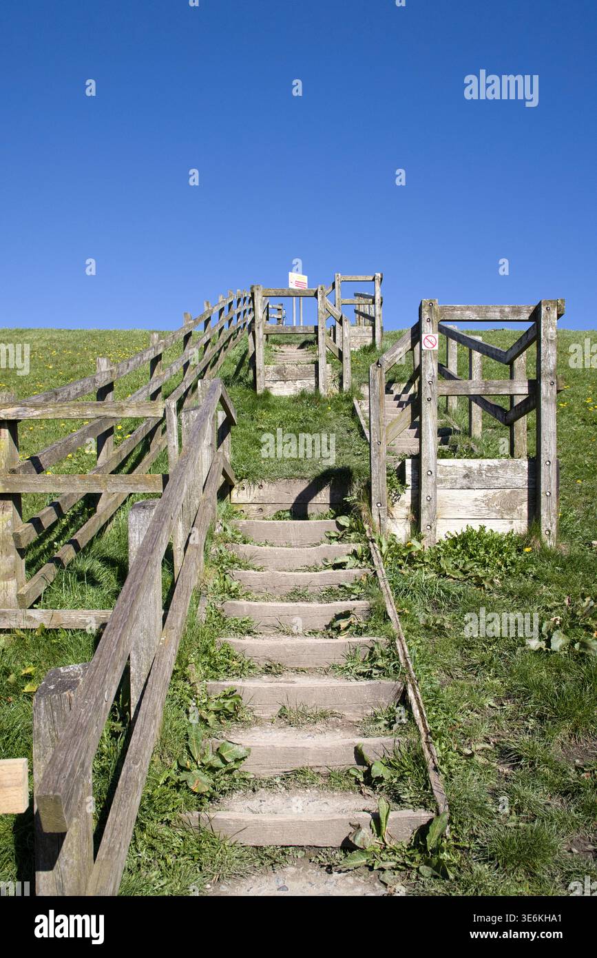 Scalinata rustica in legno che si arrampica su una ripida riva erbosa presso il lago artificiale Watergrove, Rochdale, Manchester, Regno Unito Foto Stock