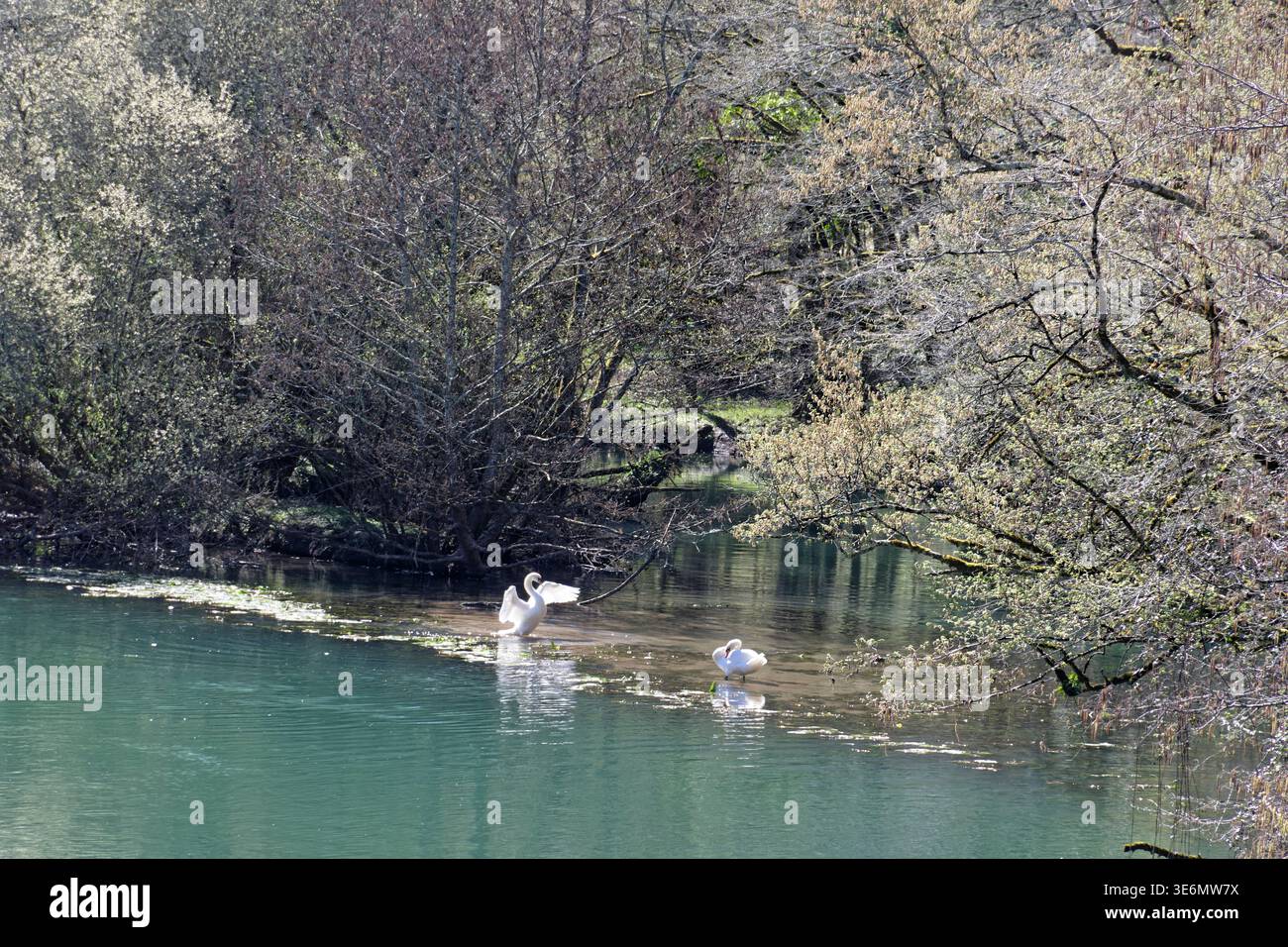 Rocamadour, Francia. 18 marzo 2026. Paesaggio bucolico di Lot. Crediti: Emilie Momesso/Alamy Stock Photo Foto Stock