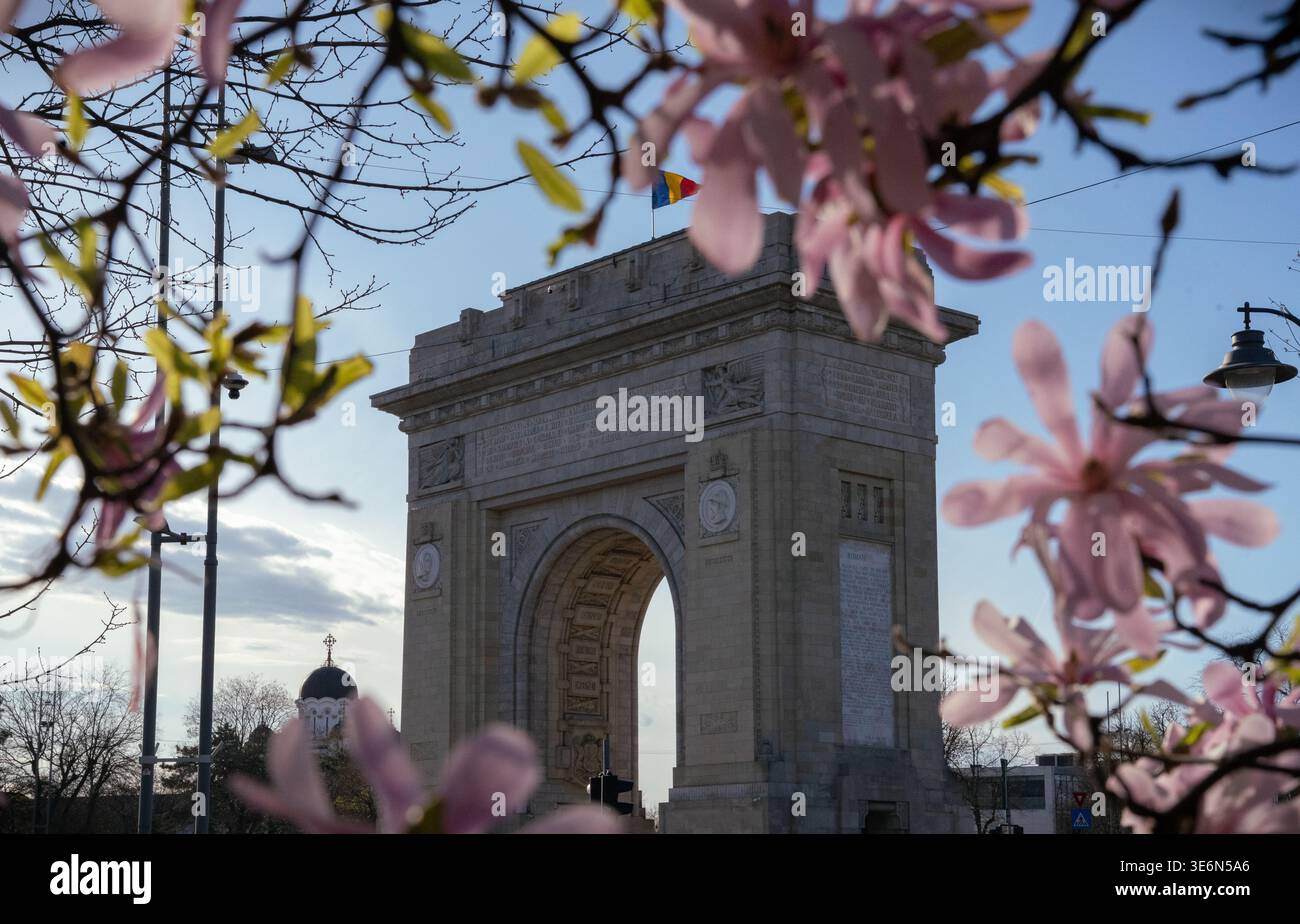 Splendidi alberi di magnolia rosa e bianca che fioriscono nelle strade di Bucarest, Romania Foto Stock
