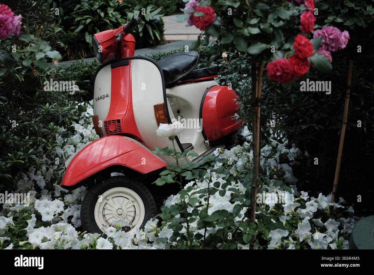 Vespa d'epoca nel giardino fiorito Foto Stock
