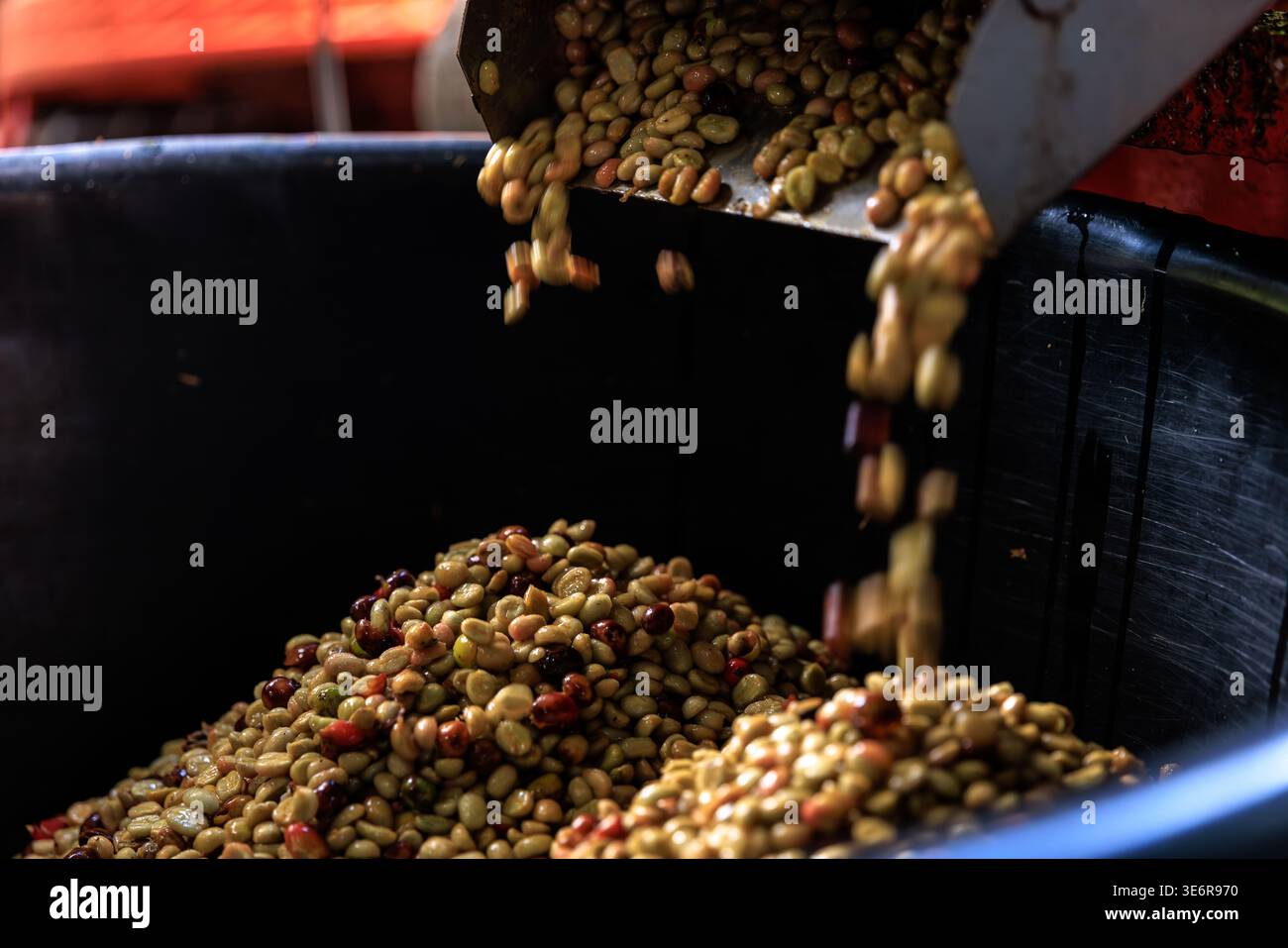 La macchina per la polpa di ciliegia del caffè elabora un concetto di messa a fuoco morbida, offuscata e movimento. Foto Stock