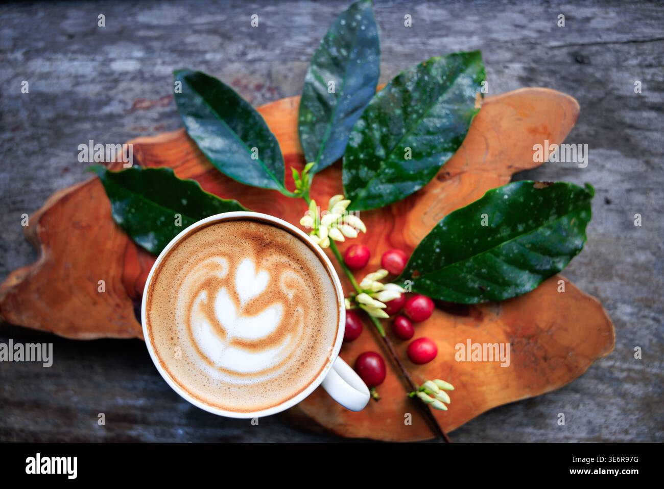 tazza da caffè per cappuccino e caffè crudo rosso con foglie verdi e fiori di caffè sfondi in legno, vista dall'alto e spazio per le copie. Foto Stock