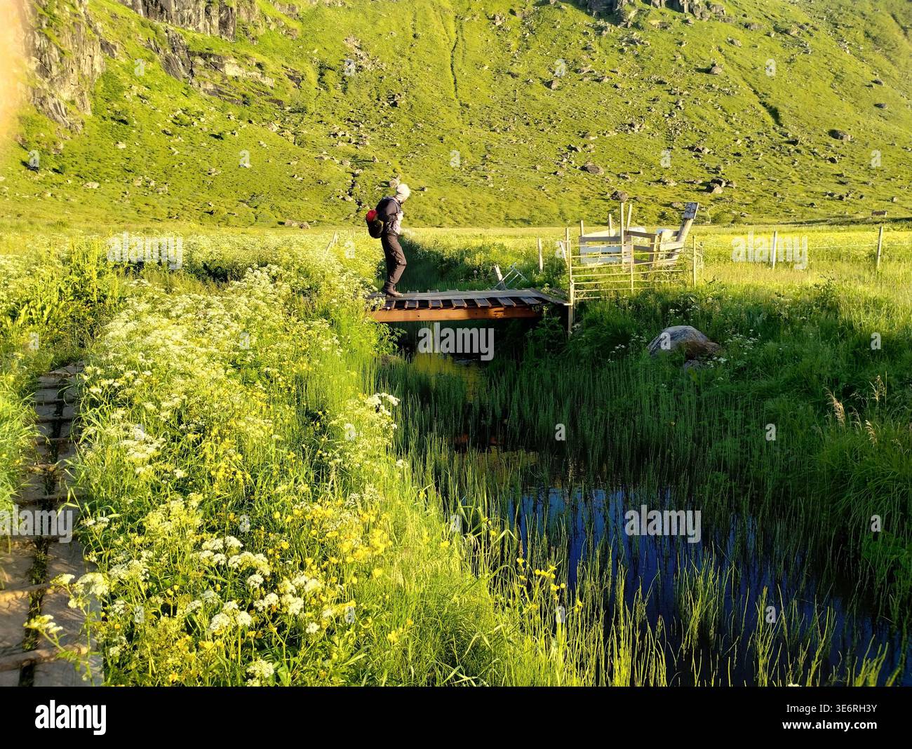 Un escursionista che attraversa un piccolo ponte di legno su un ruscello in un lussureggiante paesaggio verde con fiori selvatici e uno sfondo di montagna. Foto Stock