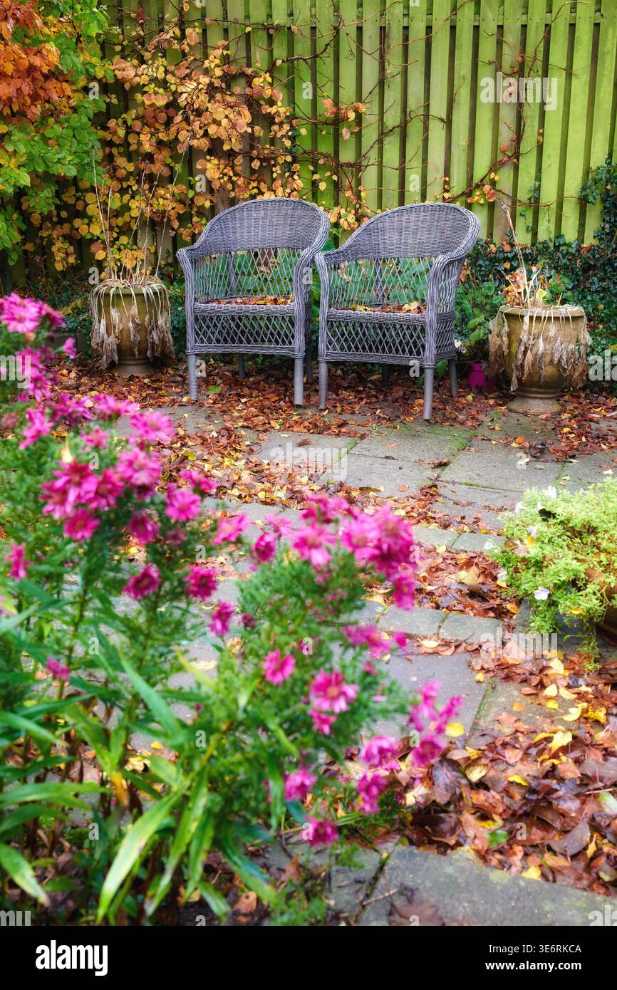 Autunno, fiori o sedie con piante nel cortile, mobili da esterno o fiori per un ambiente tranquillo. Area salotto, ambiente tranquillo o giardino Foto Stock