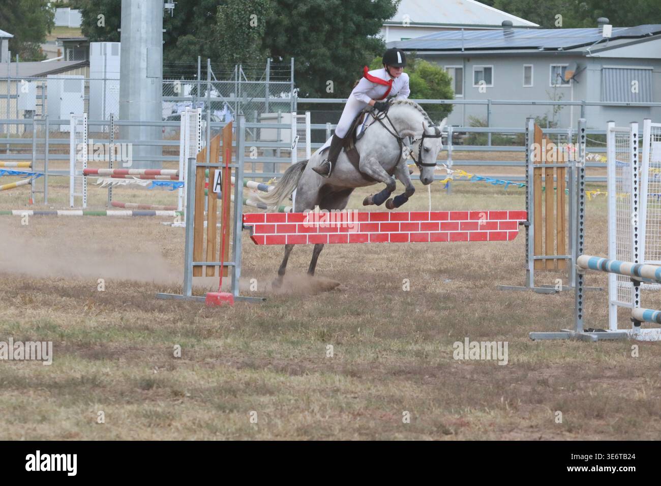Un cavallo e un cavaliere grigi eliminano un salto in mattoni rossi e bianchi durante un evento equestre all'aperto di salto con lo spettacolo, catturato con forza alla vetta del salto Foto Stock