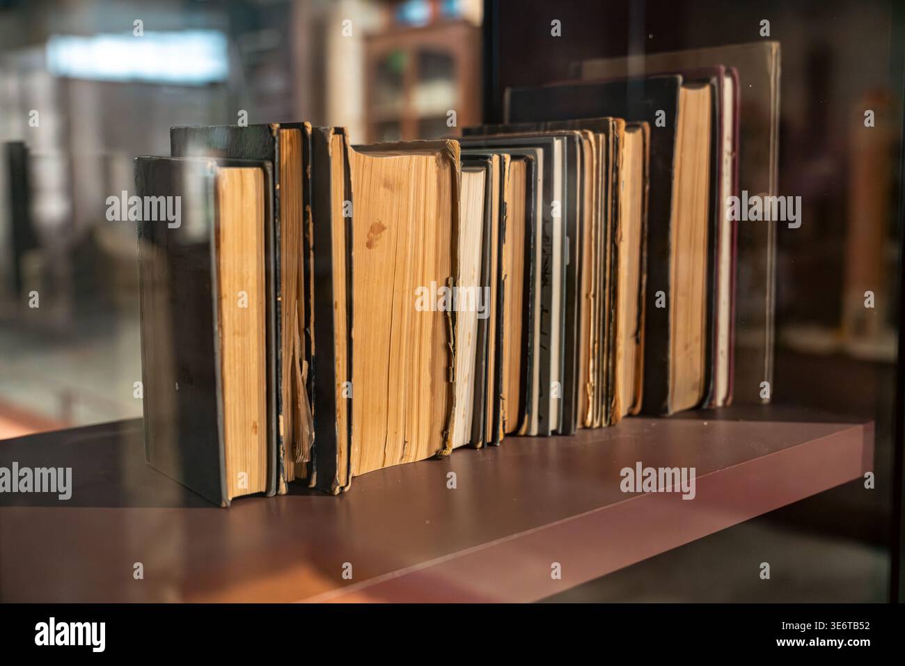 Fila di libri d'epoca su scaffale in legno con luce calda. Foto di alta qualità Foto Stock
