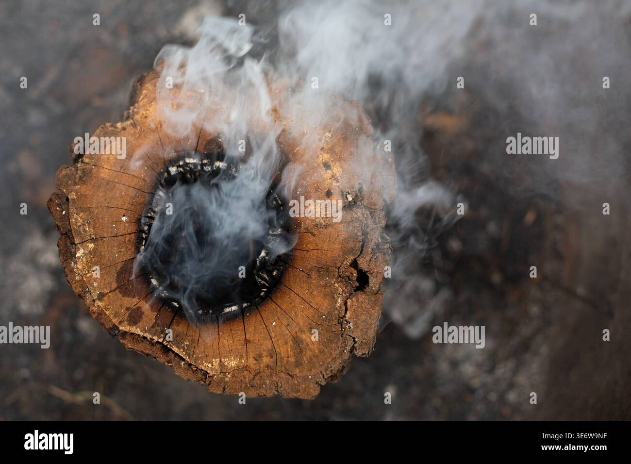 Fumando un ceppo d'albero da vicino con una consistenza di legno bruciato e fumo Foto Stock