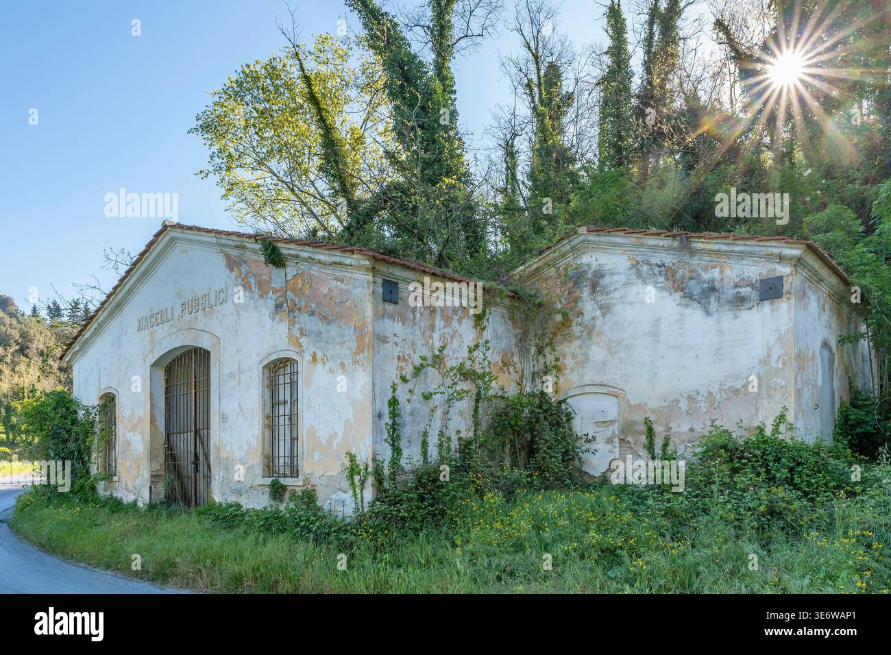 Il sole filtra tra tra i rami degli alberi vicino agli antichi macelli pubblici di Fauglia, Pisa, Italia Foto Stock