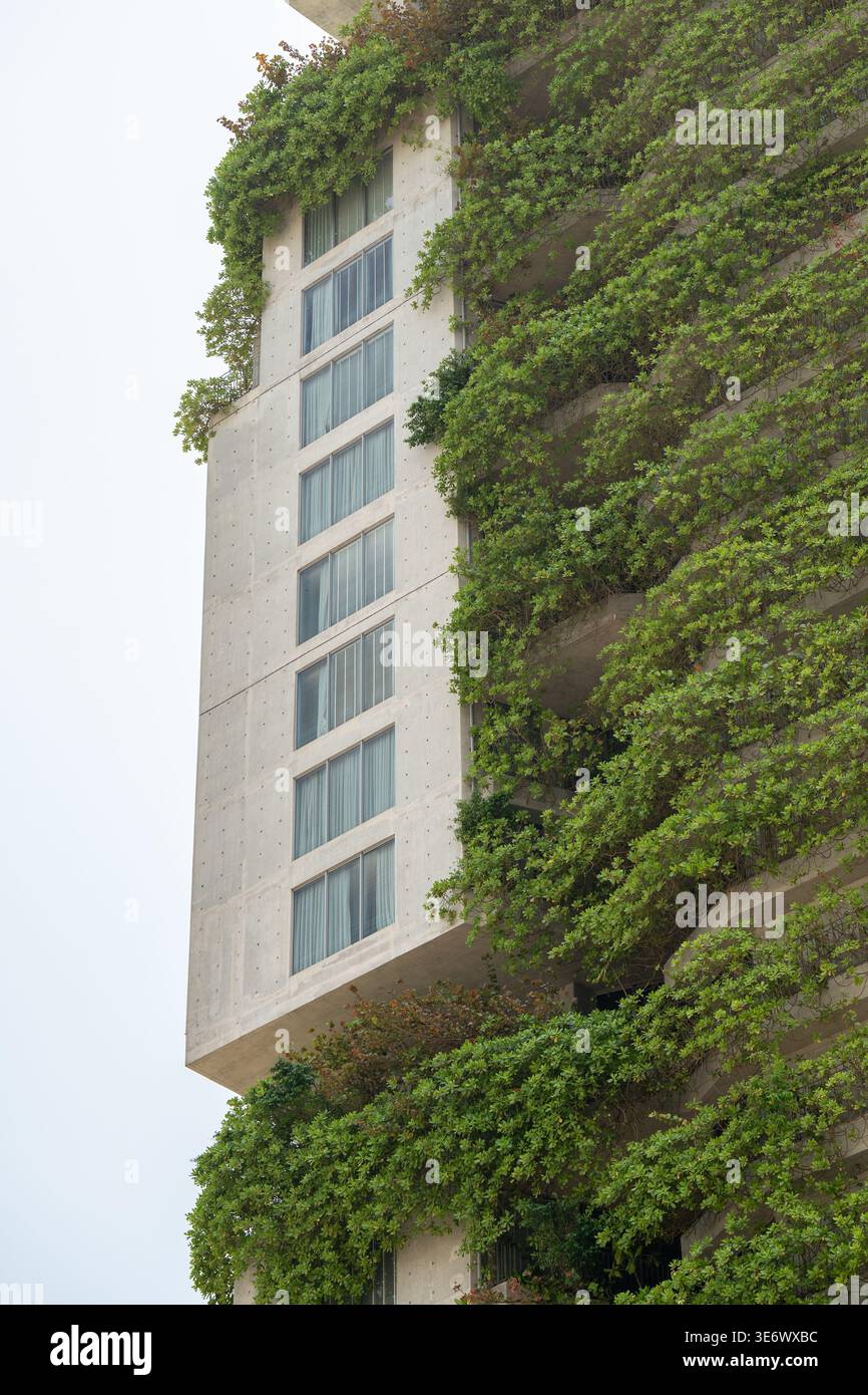 Eco-casa con pareti viventi fatte di piante che crescono su balconi e terrazze che decorano la facciata della casa. Foto Stock