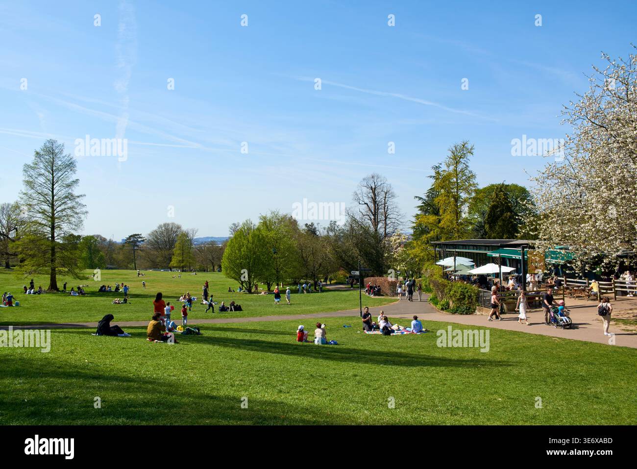 Golders Hill Park, Golders Green, Londra Regno Unito, in primavera Foto Stock