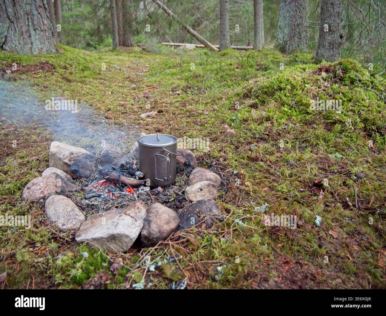 Tazza di metallo che ebollisce l'acqua sul fuoco del campeggio forestale Foto Stock