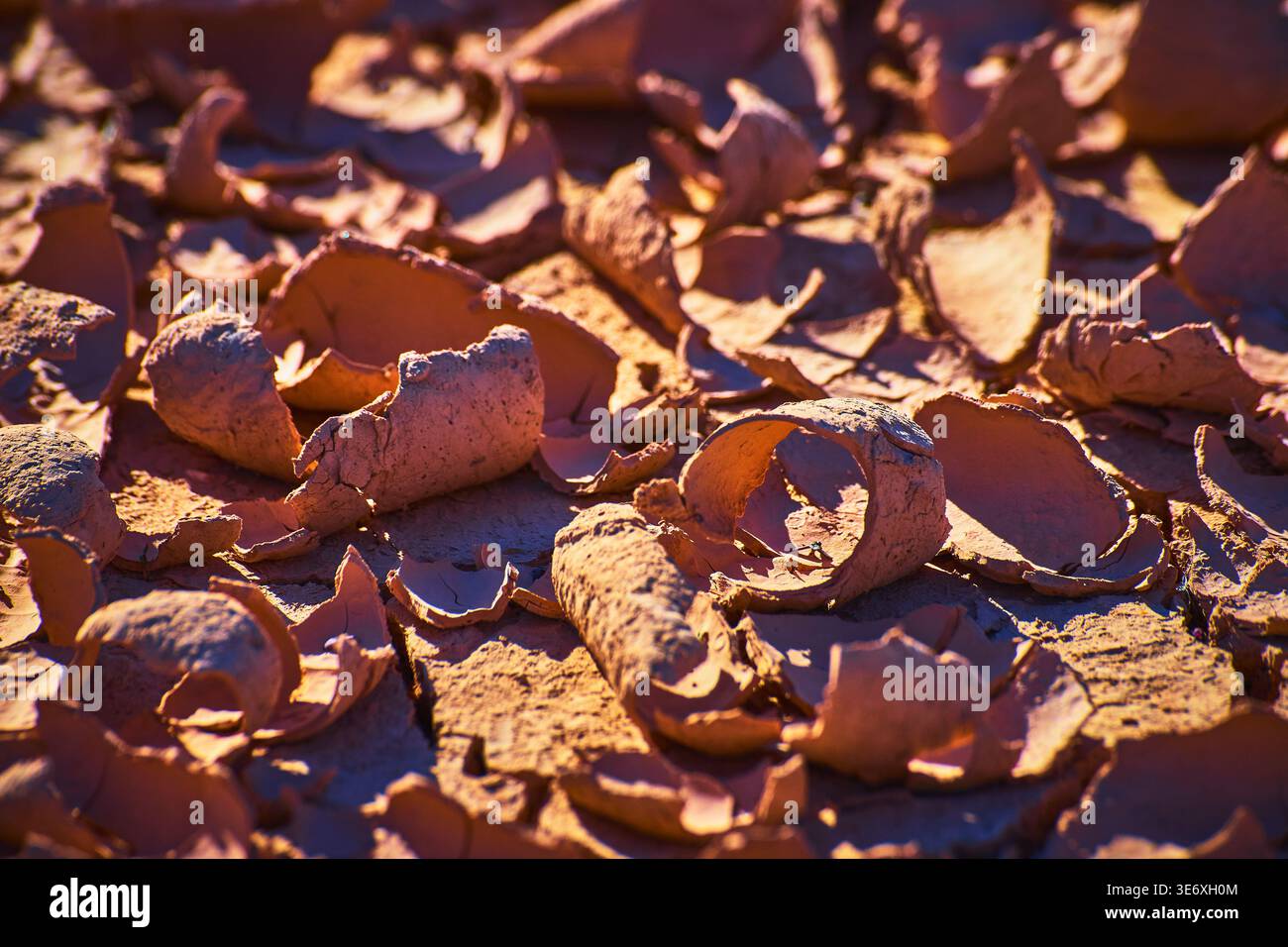 Desert Mud Crack texture primo piano a St Thomas Ghost Town, Nevada Foto Stock