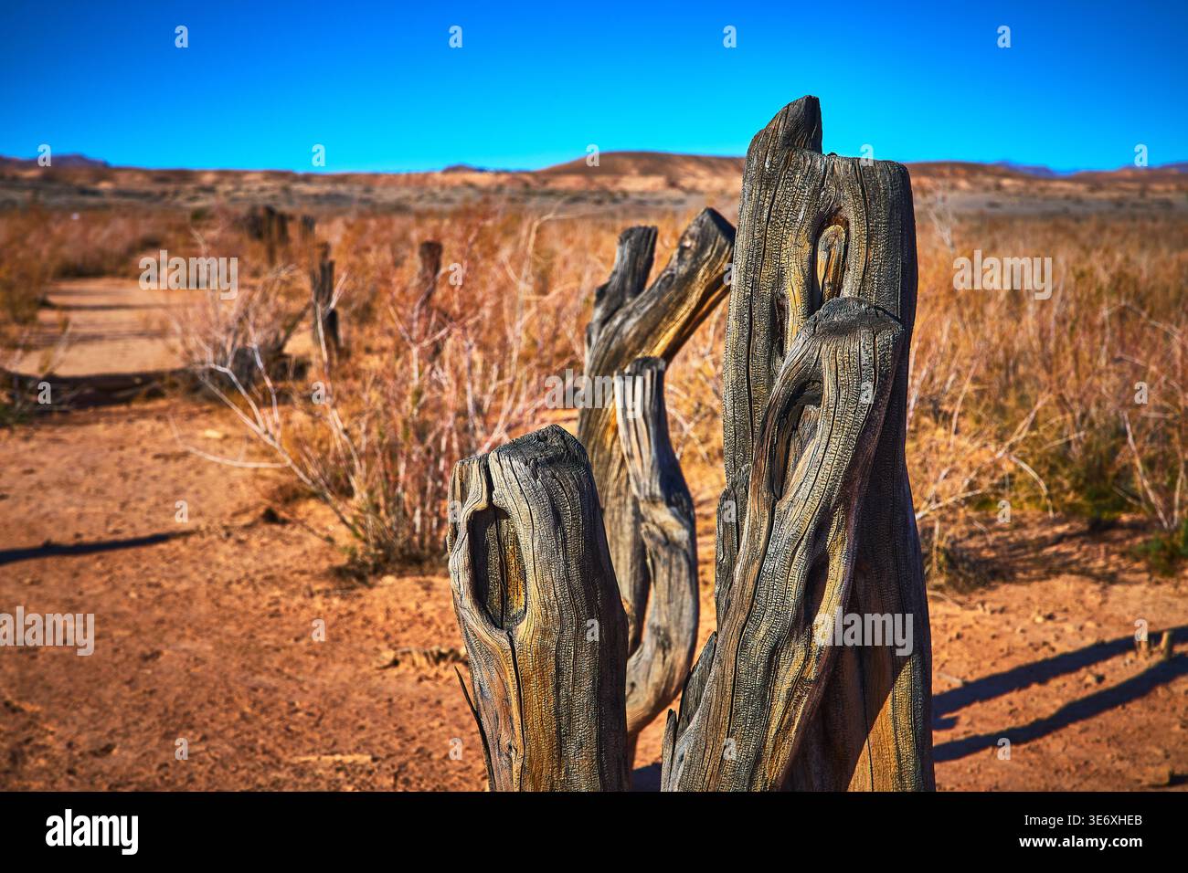 Postazioni di recinzione in legno e percorso del deserto nella città fantasma di St Thomas, Nevada Foto Stock
