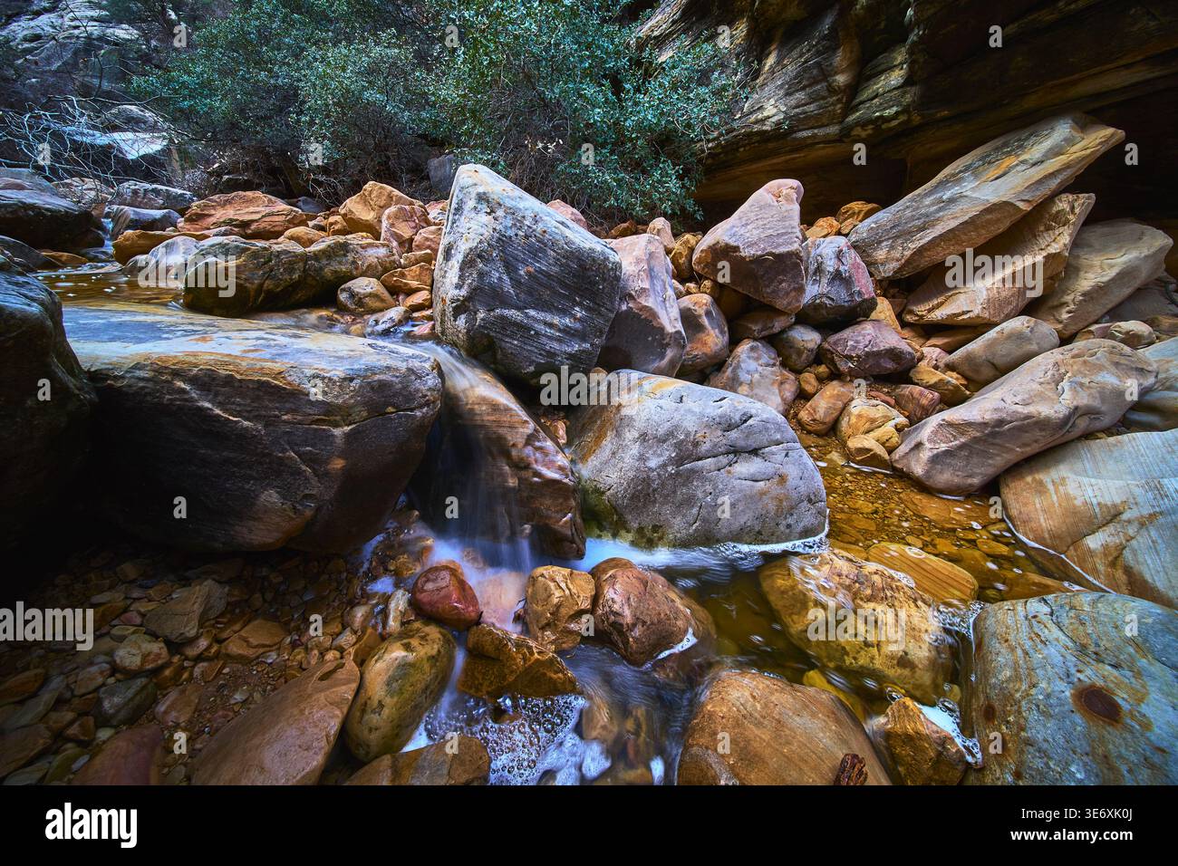 Il torrente invernale scorre attraverso massi e alberi nell'Ice Box Canyon Nevada Foto Stock