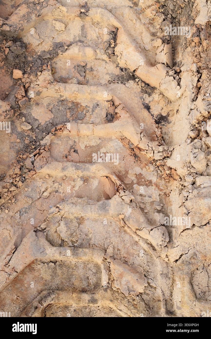 Tracce di usura degli pneumatici su sabbia bagnata o terreno. Segni profondi del battistrada provenienti da attrezzature pesanti o veicoli in cantiere o fuoristrada. Orientamento verticale Foto Stock