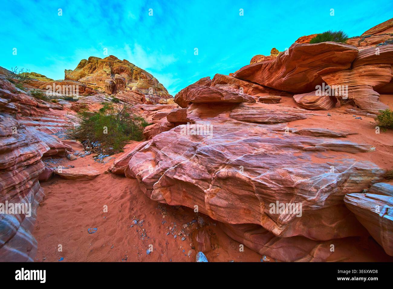 Formazioni di arenaria rossa e Desert Trail sotto il cielo blu nel vivace paesaggio del sud-ovest Foto Stock