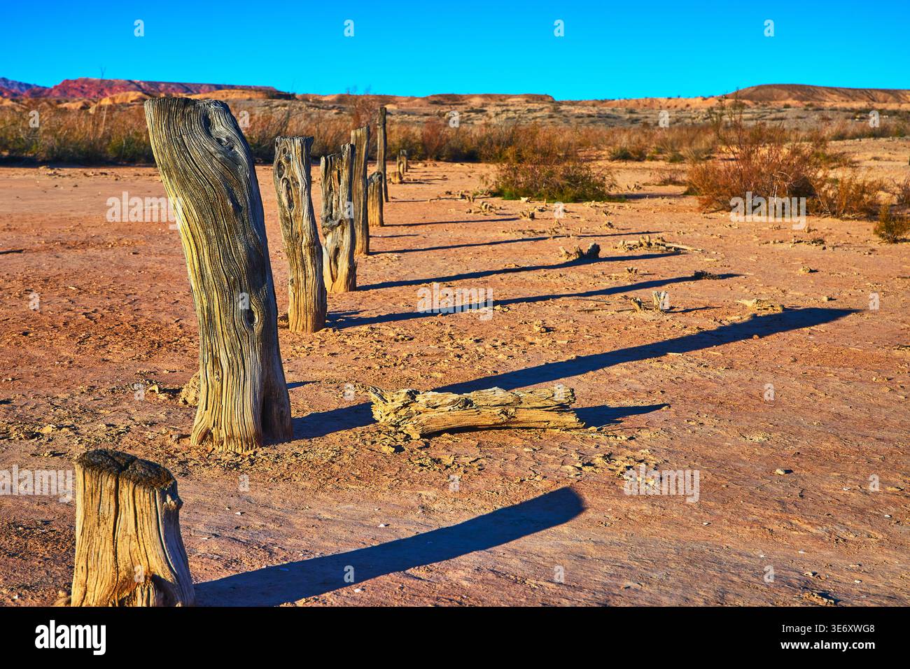 Paludi in legno e paesaggio desertico nella città fantasma di St Thomas, Nevada Foto Stock