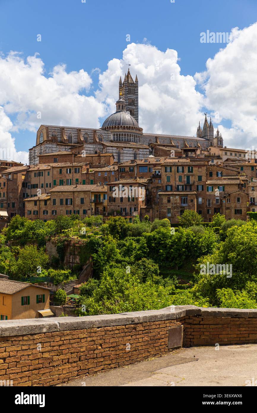 Paesaggio urbano verticale della cupola del Duomo di Siena e architettura storica che si innalza sopra gli edifici del centro storico di Siena, Toscana, Italia Foto Stock