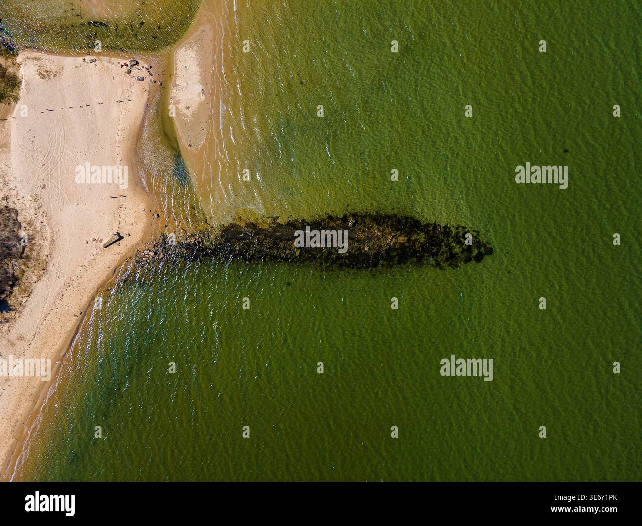 Vista aerea dall'alto della costa sabbiosa e delle verdi acque costiere con molo di roccia a Long Island, New York, Stati Uniti. Foto Stock
