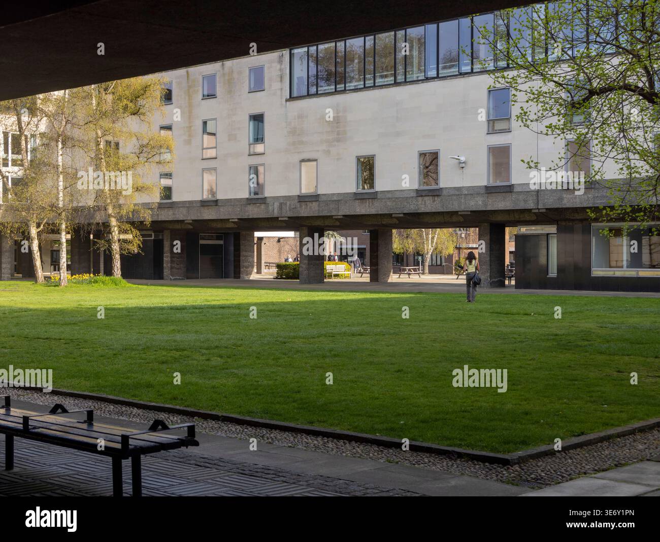 The Sidgwick Site, Università di Cambridge, Inghilterra, Regno Unito Foto Stock