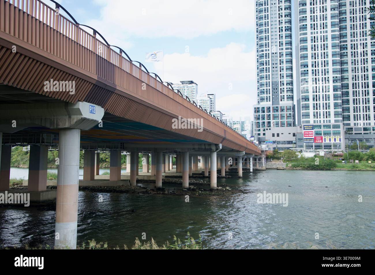Il ponte Taehwa corre sopra il fiume Taehwa a Ulsan, con torri di appartamenti, moli di ponti e acqua ondulata che riempiono la scena urbana lungo il fiume. Foto Stock
