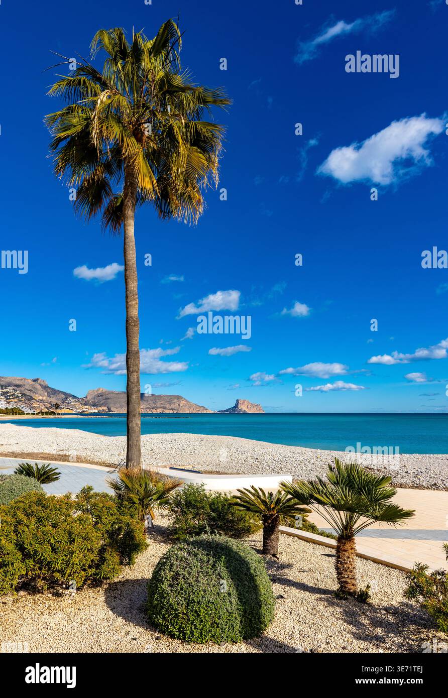 Altea, Spagna - 24 gennaio 2026: Spiaggia Playa de Altea sul Mediterraneo Costa Blanca con rocce Morro de Toix sul lungomare Foto Stock