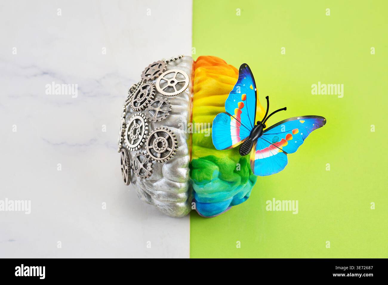 Emisferi cerebrali umani che rappresentano la logica e la creatività con la farfalla Foto Stock