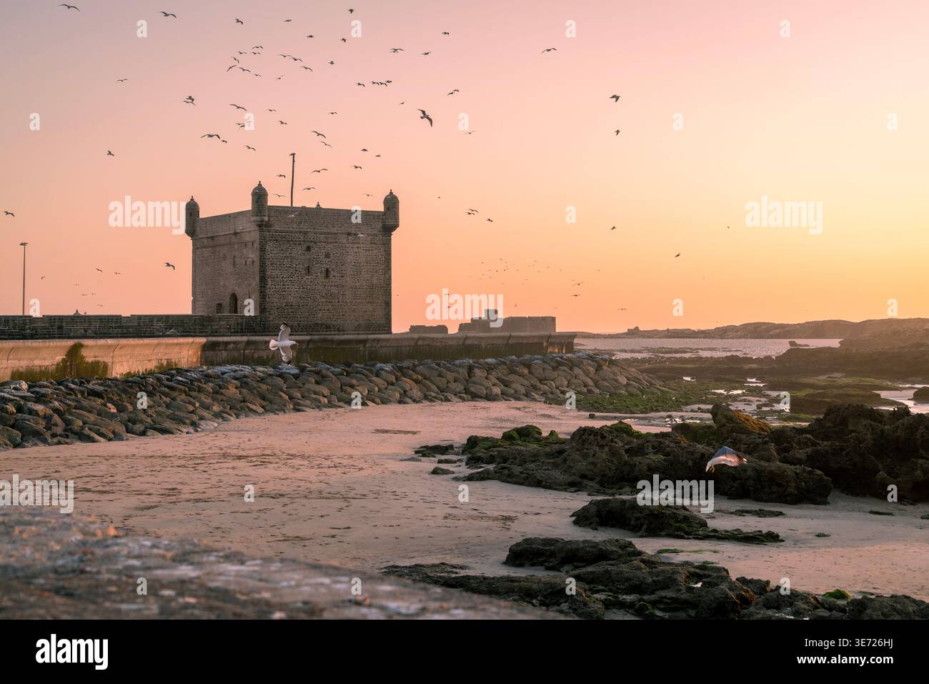 Città di Skala, Medina di Essaouira, Marrakech-Tensift-Hawz, Marocco Foto Stock