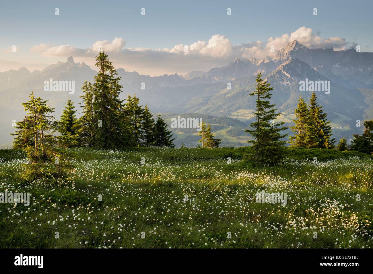 Vista dal monte Rossbrand, Bischofsmütze, Dachstein, Salisburgo, Austria Foto Stock