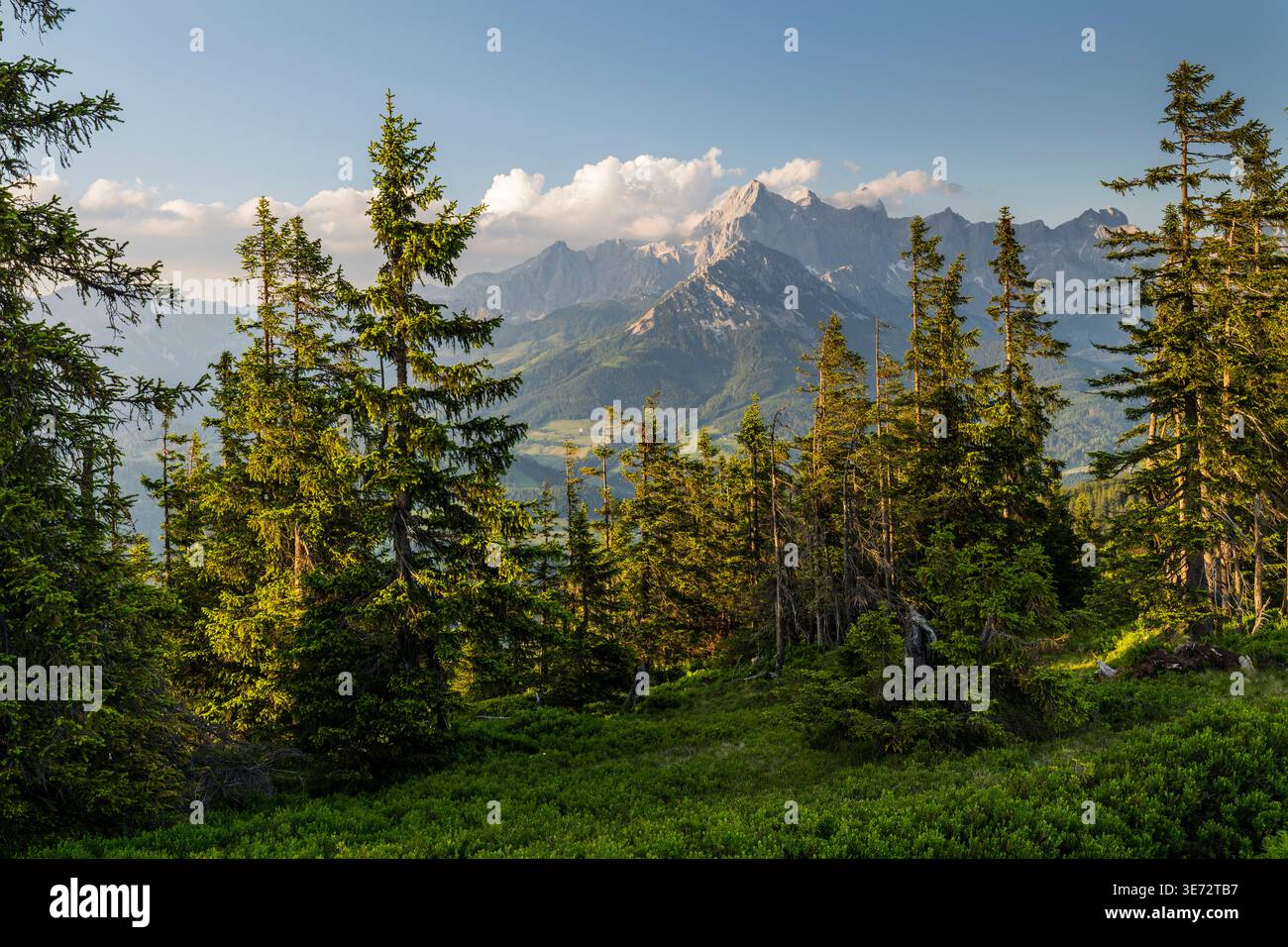 Vista dal monte Rossbrand, Dachstein, Salisburgo, Austria Foto Stock