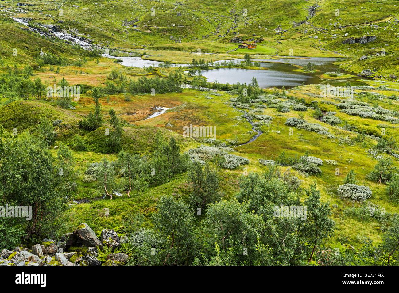 Lago di montagna su Haukelifjellveien, Vestland, Norvegia Foto Stock