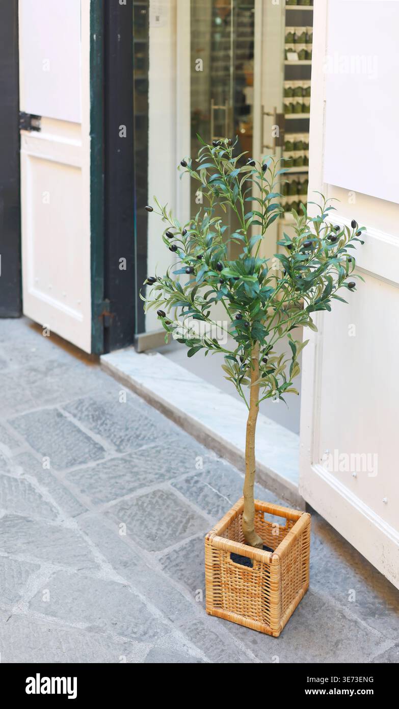 Piccolo olivo decorativo in cesto di vimini all'ingresso della boutique mediterranea con spazio per fotocopie. Lo scatto a livello di occhi è caratterizzato da porte bianche tradizionali Foto Stock