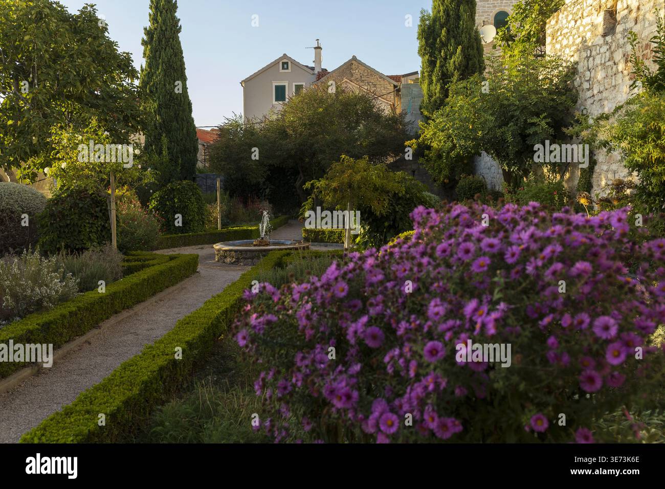 Sentiero del giardino circondato da fiori in fiore e piante verdi alla calda luce del sole. Tranquillo ambiente naturale Foto Stock