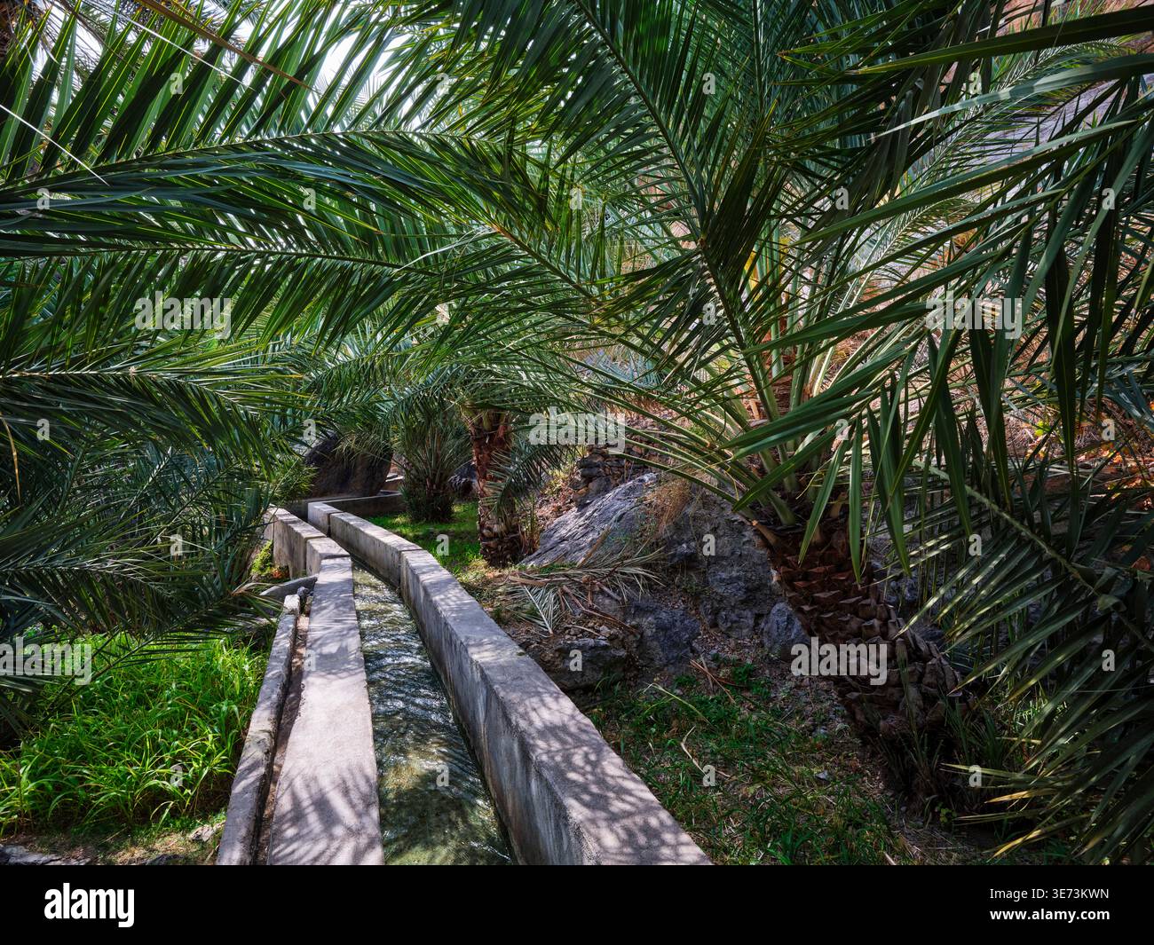 Una passeggiata attraverso lo storico villaggio museale di Misfat al Abriyyin, Oman Foto Stock