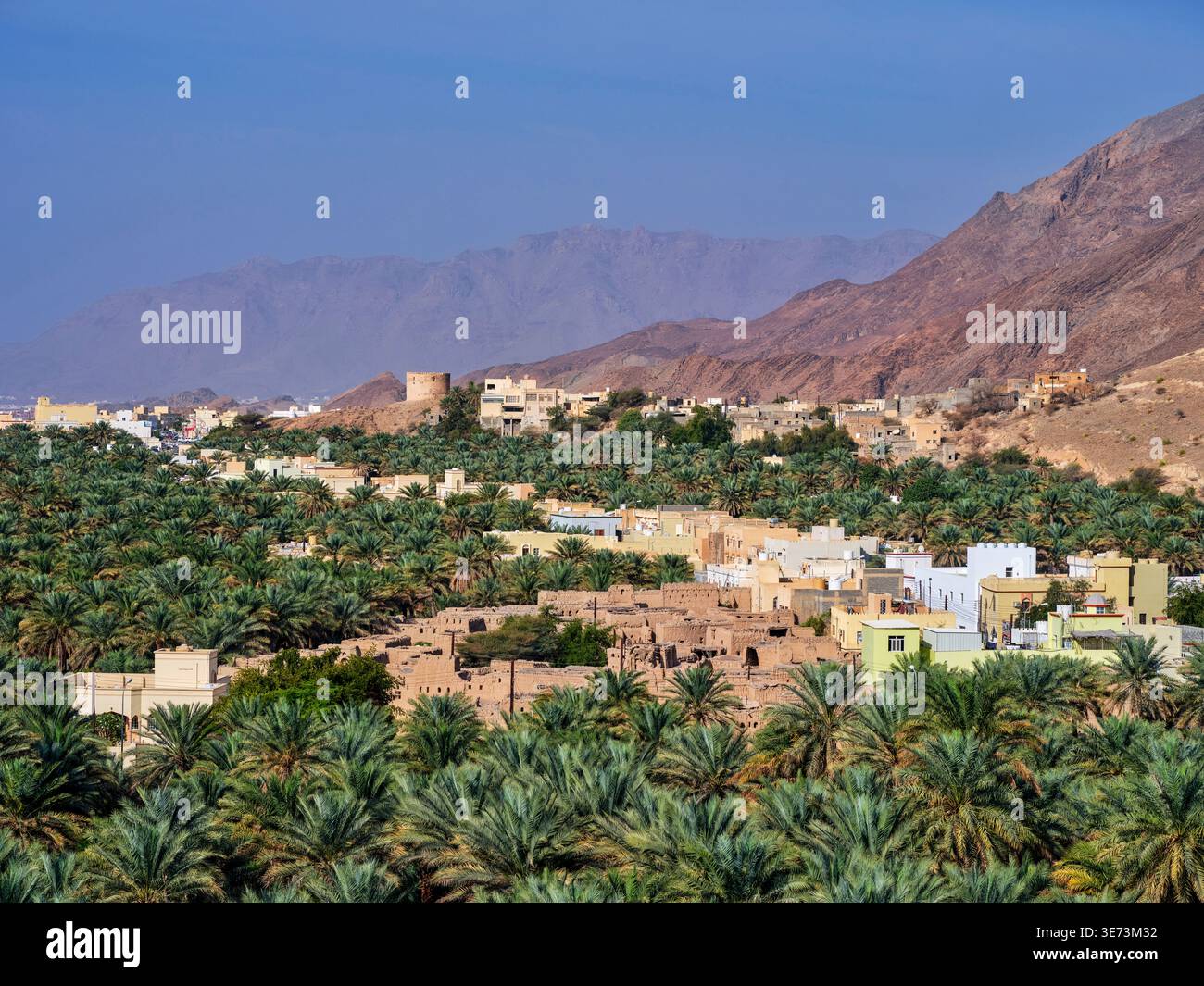 Le rovine dell'oasi di Birkat al-Mouz, Oman Foto Stock