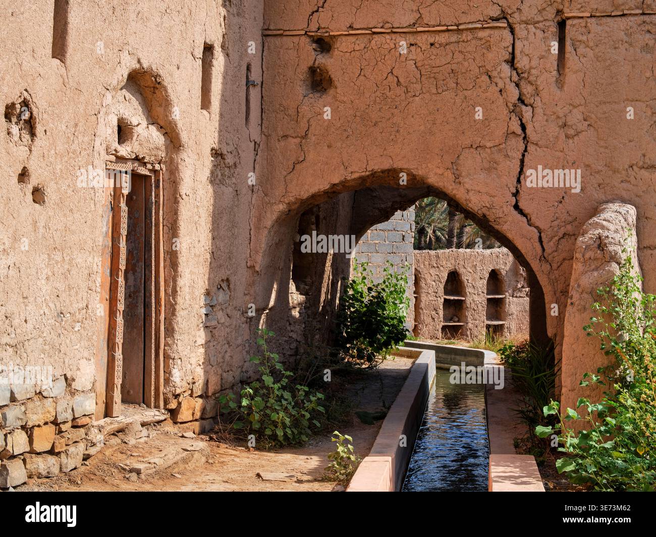 Le rovine dell'oasi di Birkat al-Mouz, Oman Foto Stock