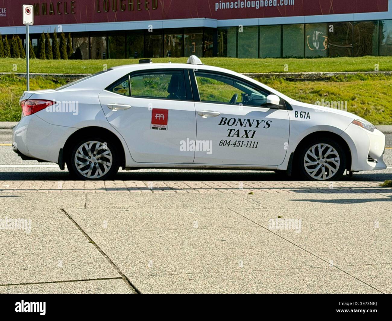 Burnaby, BC - 9 aprile 2026: Profilo laterale di una Toyota Prius bianca Bonny's taxi parcheggiata in una strada della Columbia Britannica, Canada. Foto Stock