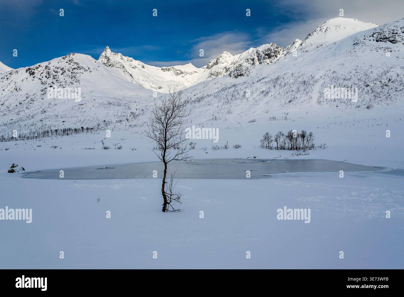 Panorama innevato, Kattfjordvatnet, Troms, Norvegia Foto Stock